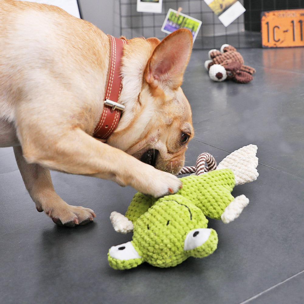 Tan French bulldog wearing a red collar playing with a green frog squeaky plush dog toy on a dark floor