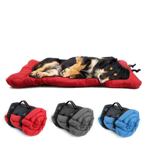 Dog sleeping on a red roll-up travel dog bed, with the bed shown rolled up with a carry handle in red, gray, and blue below.