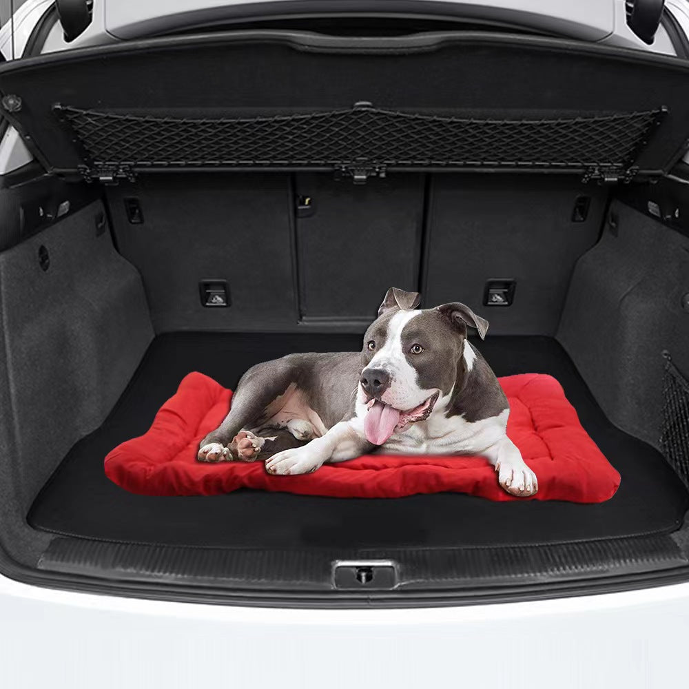 Gray-and-white pit bull lying on the red roll-up bed in the open cargo trunk of a car.